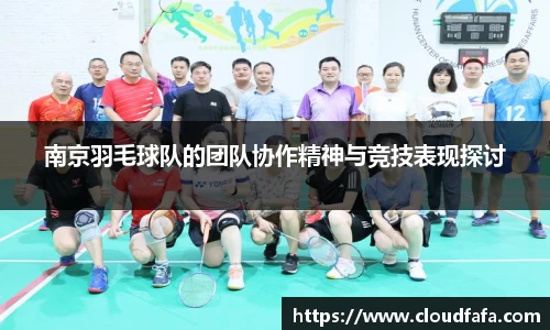 南京羽毛球队的团队协作精神与竞技表现探讨